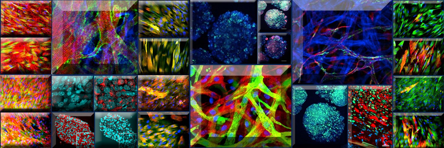Biomaterials's banner