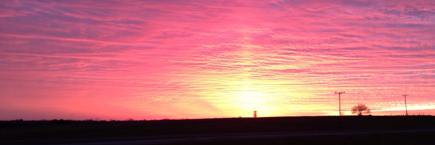 Ali Seilheimer banner