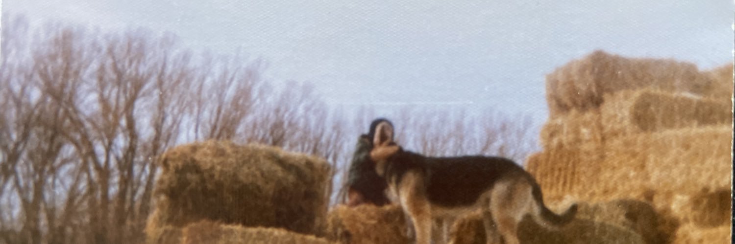 Albertaisbeautiful banner