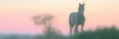 oncetual's profile banner image
