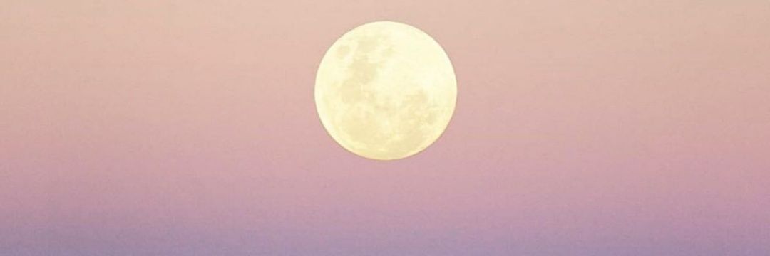 alexa_morillo's profile banner image