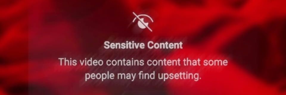 𓆗lauroboros banner