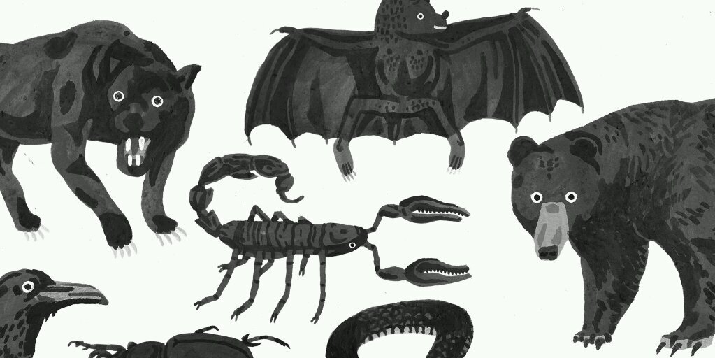 ted_parker's profile banner image
