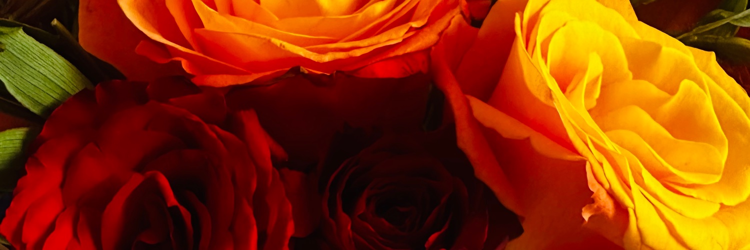 Juli101kenyan's profile banner image