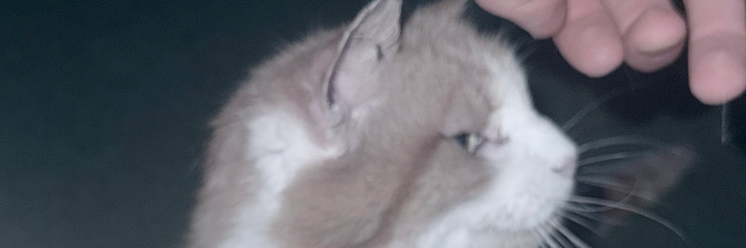colinies's profile banner image