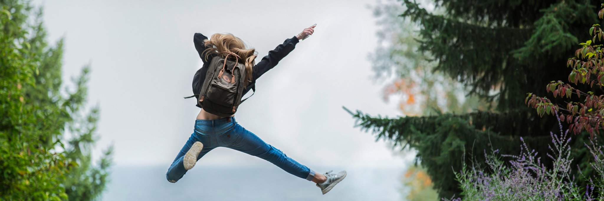 Lion Energy banner