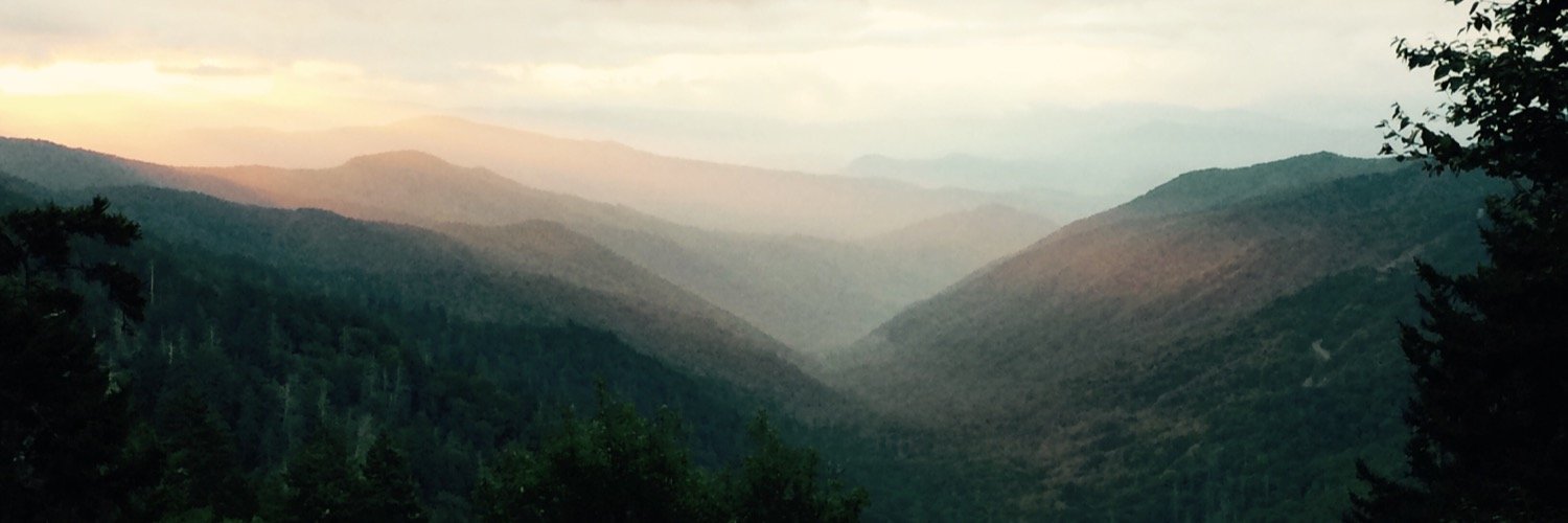 MichelleLee64's profile banner image