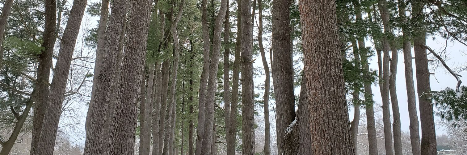 saw_johnson's profile banner image