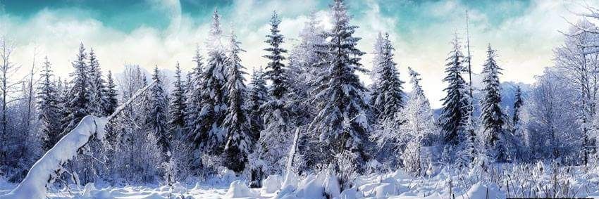 StraitSA's profile banner image