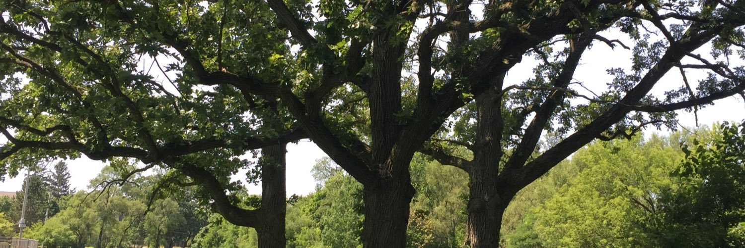 Nataliya Zelenetska banner