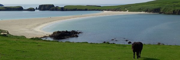 kieranwardrop Profile Banner