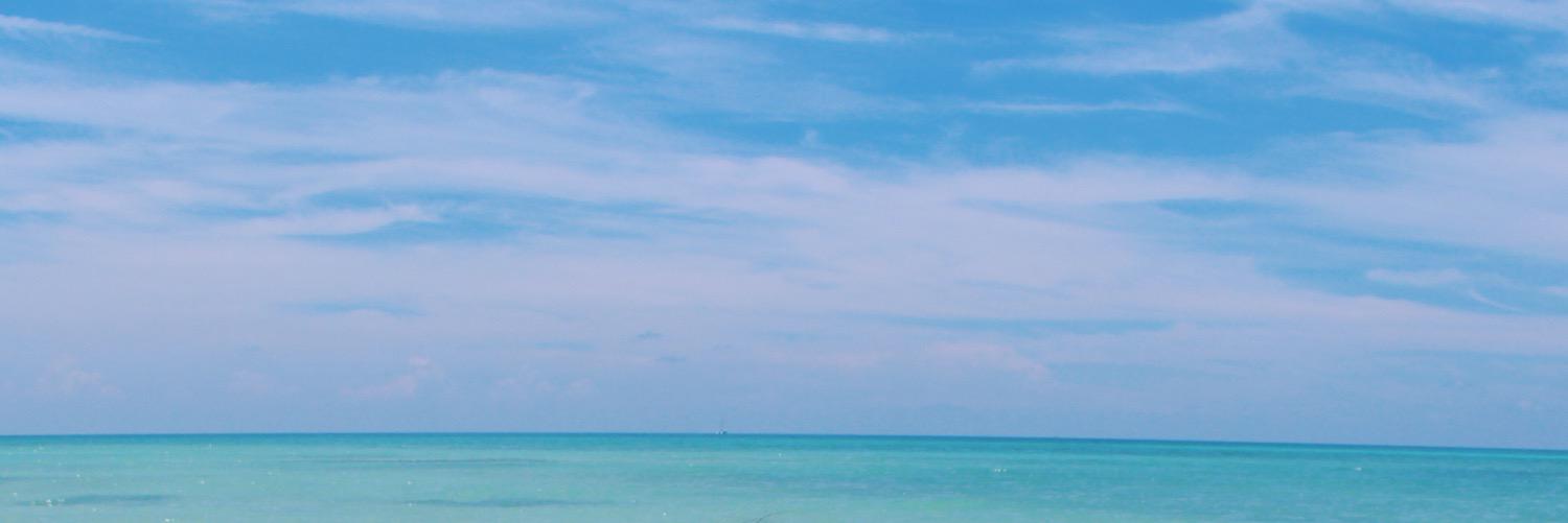 isabillau's profile banner image