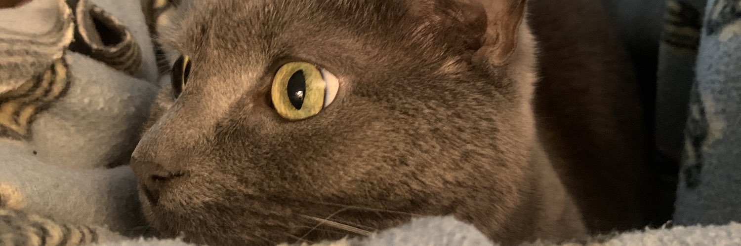 macdshane's profile banner image