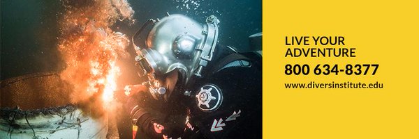 DiversInstitute Profile Banner