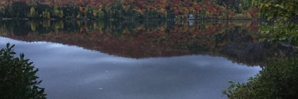 gril_udem Profile Banner