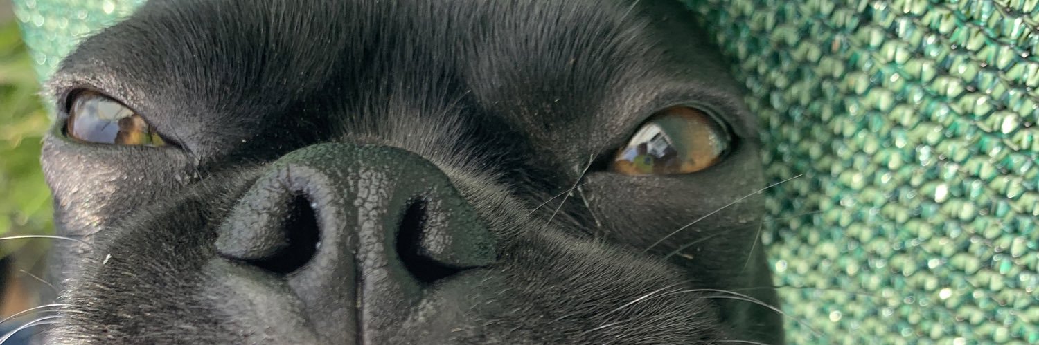 haleysynan's profile banner image