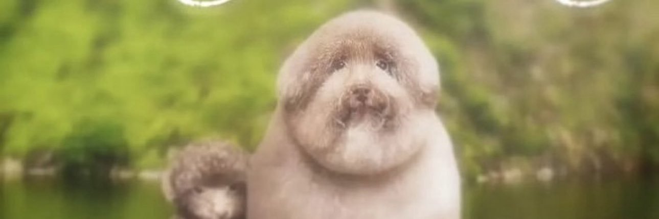 TreBallChief's profile banner image