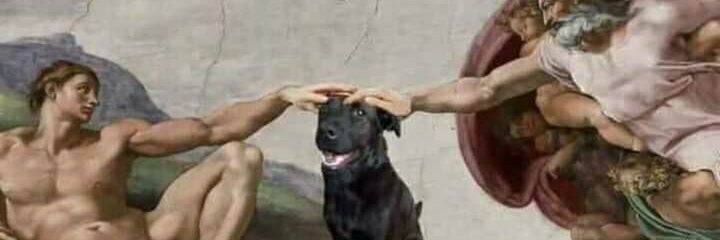 HAZKEL__'s profile banner image