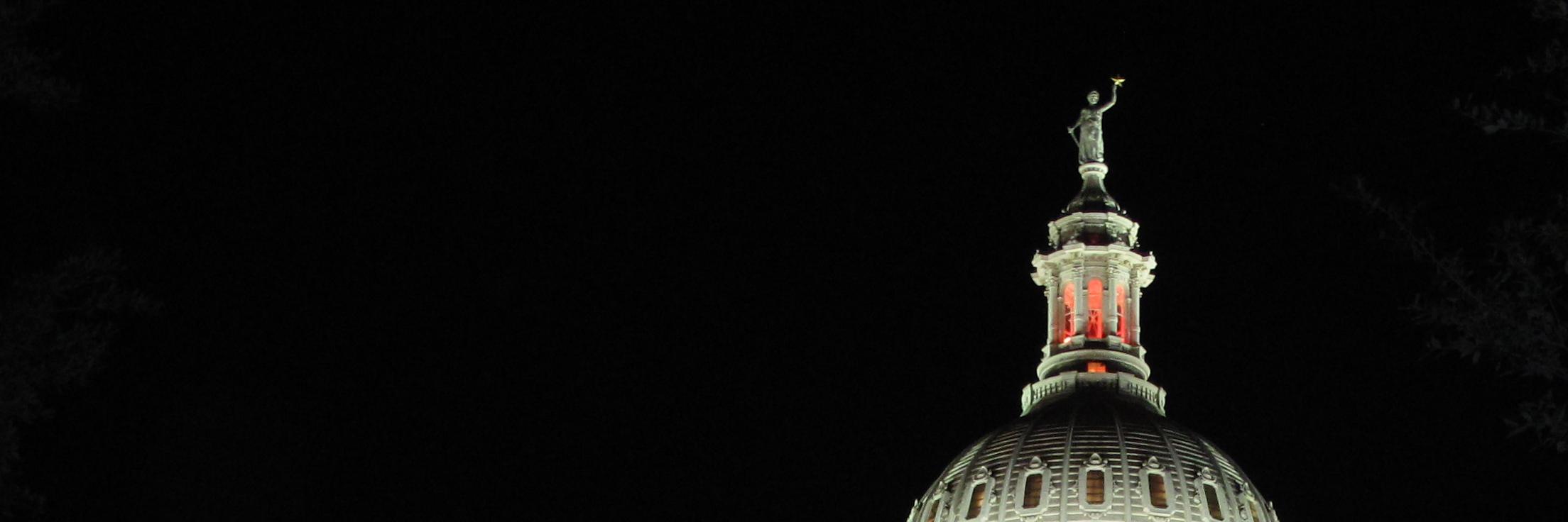 TexasSILC's profile banner image