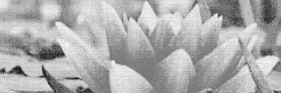 GamerGoddessTM's profile banner image