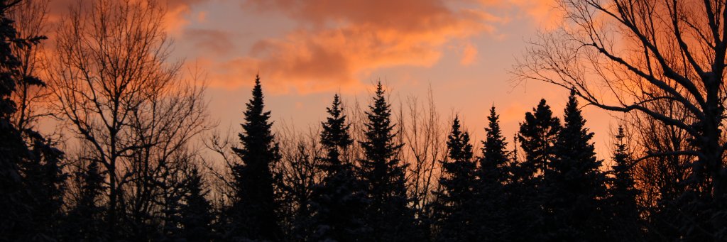 JakeMcwilliams2's profile banner image