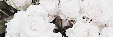 EyeWearLashesCo's profile banner image