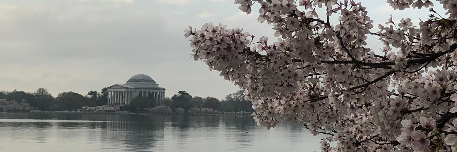 Mayra Medrano banner