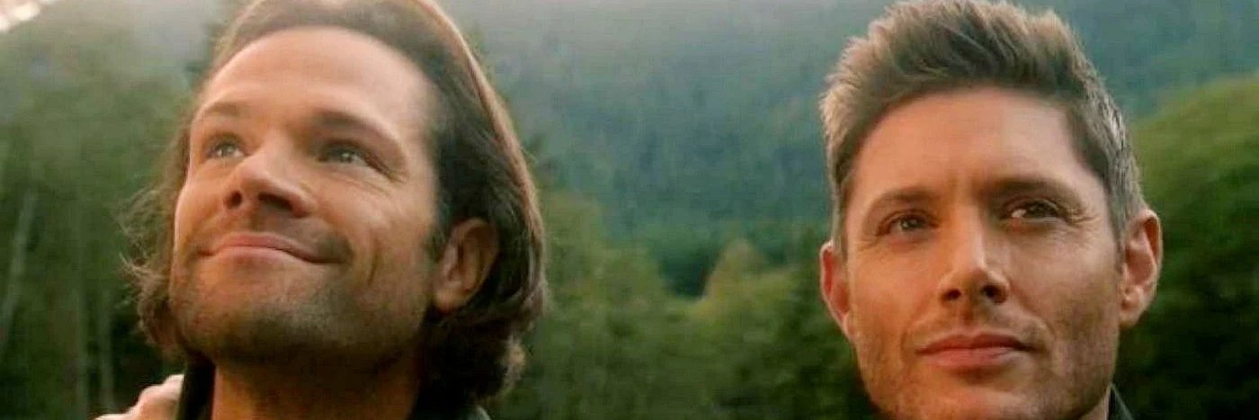 SpngirlMeg's profile banner image