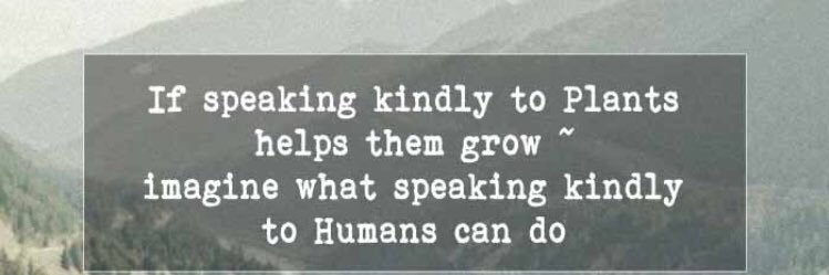 Lauren Foster banner