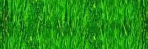 Вадим banner