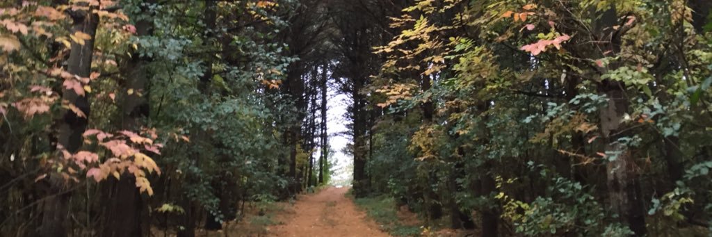 LoganWhite33's profile banner image