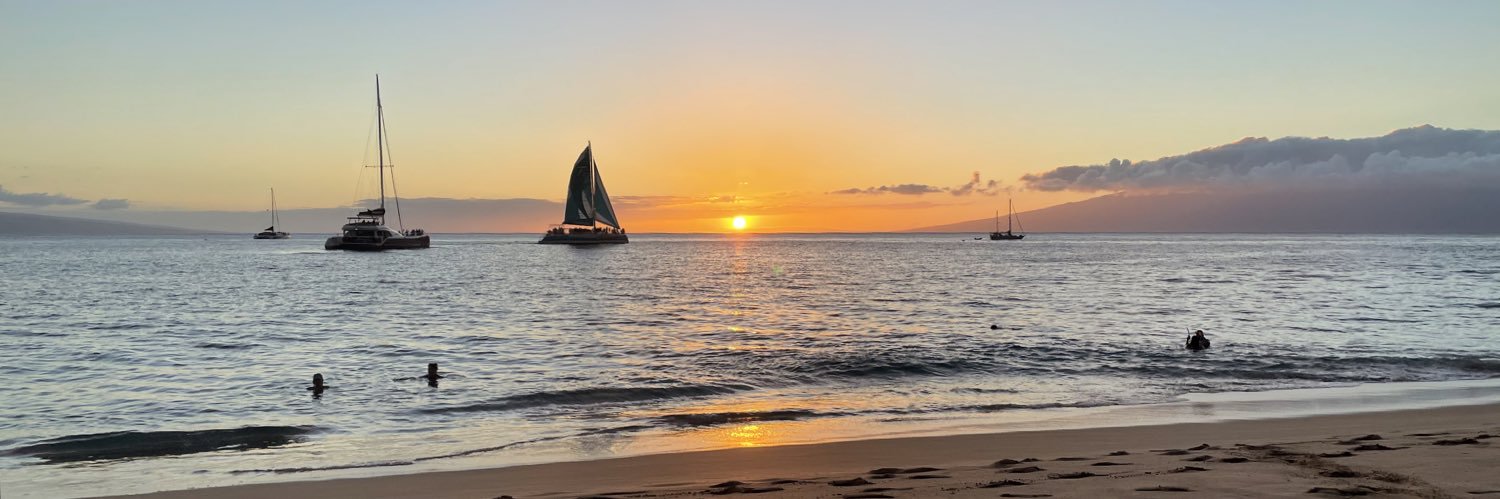 orange_turtle_'s profile banner image