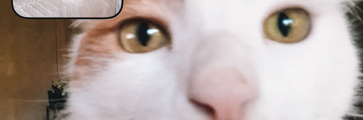 FloGrcia's profile banner image