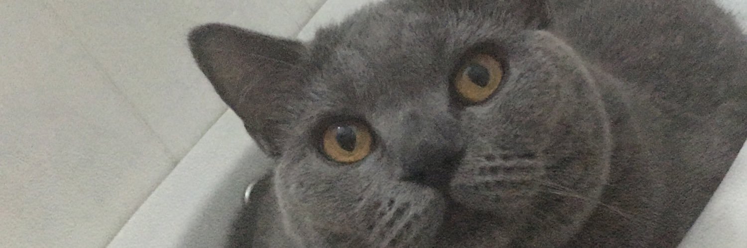 stratejist87's profile banner image