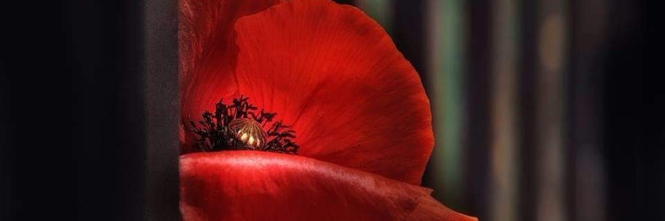 MONINASB's profile banner image