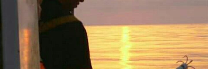 BrullSales's profile banner image