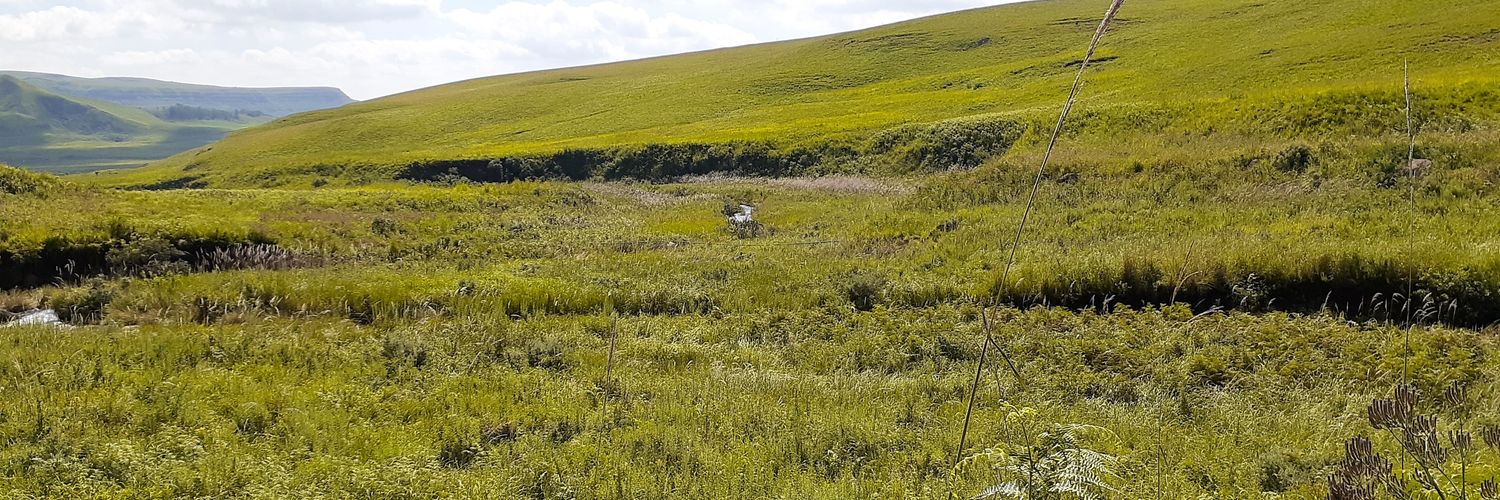 🇪🇹Seifu Kebede🇿🇦 banner