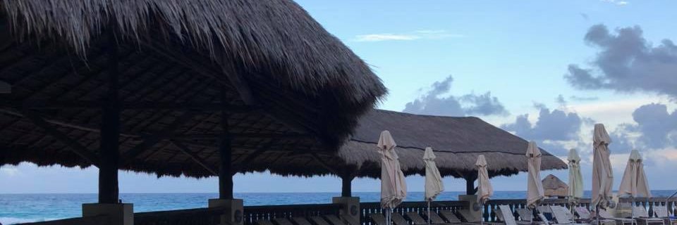 Virtually Carla banner