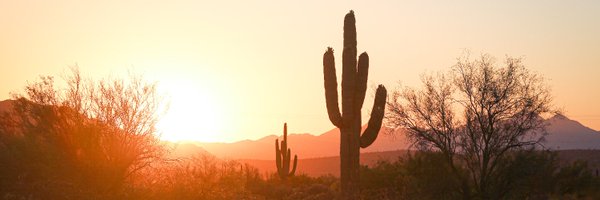 jaeden_ai Profile Banner