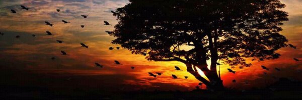 DaniCosta896 Profile Banner