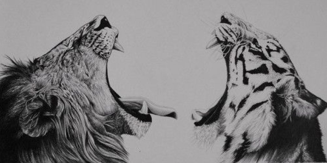 MRPHNEF's profile banner image