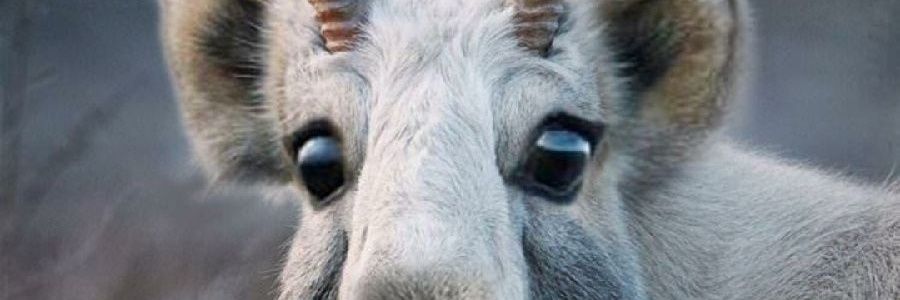 BusmaMichael's profile banner image
