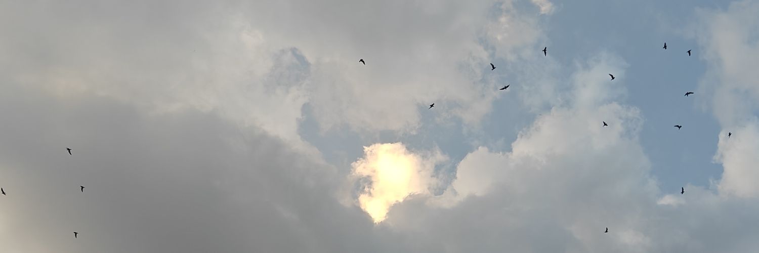 Anushree Gupta banner