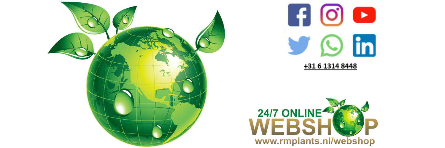 RMPlants's profile banner image