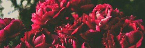 destinylovegood's profile banner image