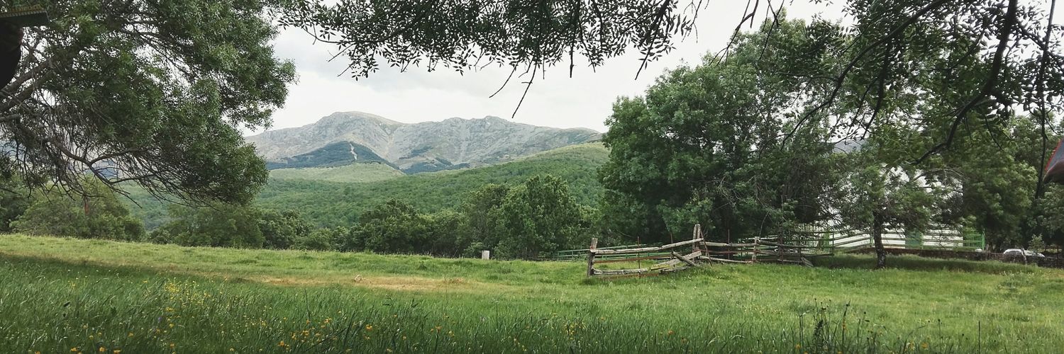 antonio_corod's profile banner image