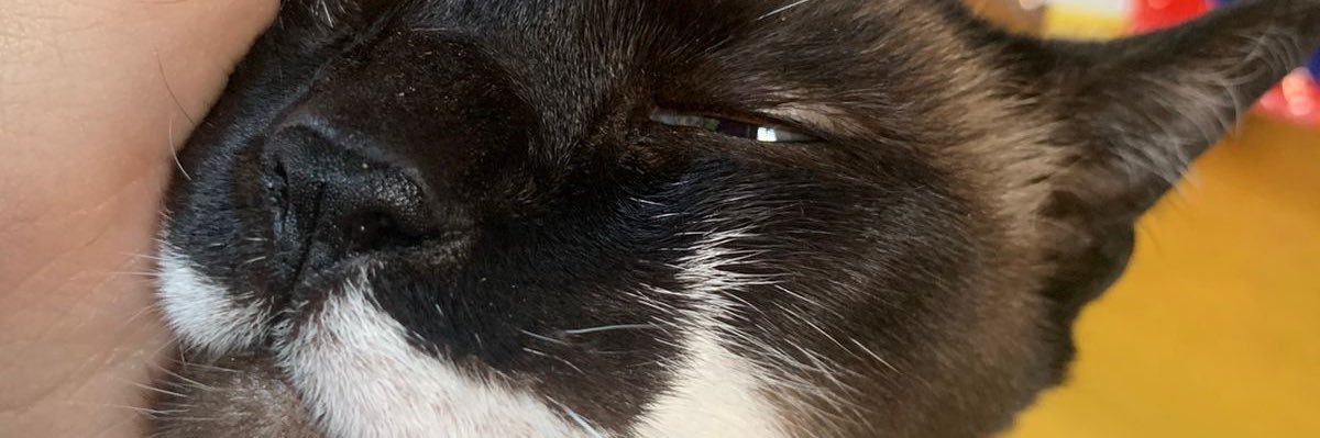 VaaluuBi's profile banner image