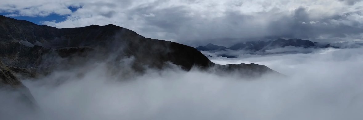 blanche banner