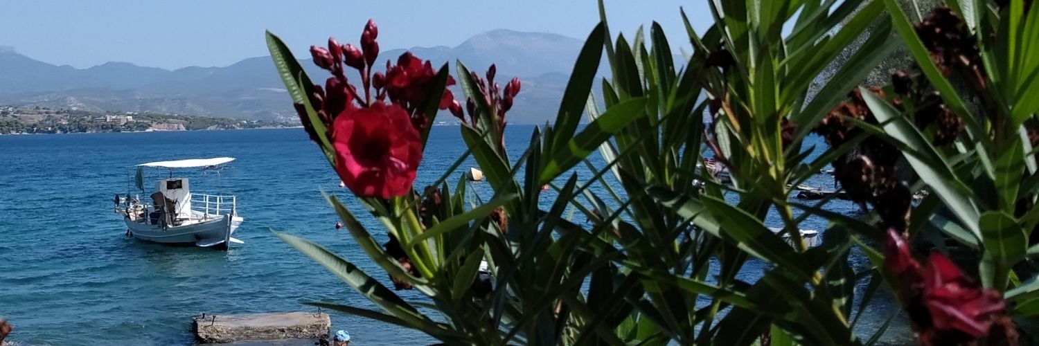 Δάφνη Πικροδάφνη's banner