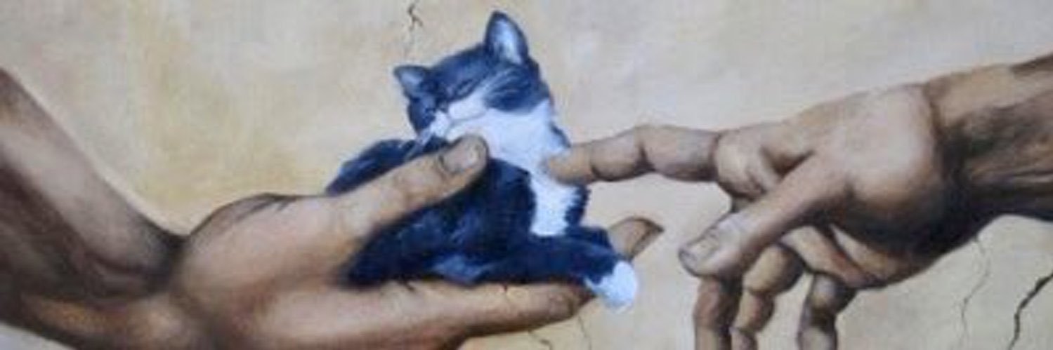 syd_travis's profile banner image